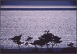 「白須賀の海」